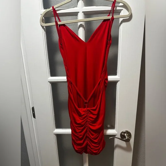 Tiger Mist Red Silky Ruched Dress - Picture 3 of 7